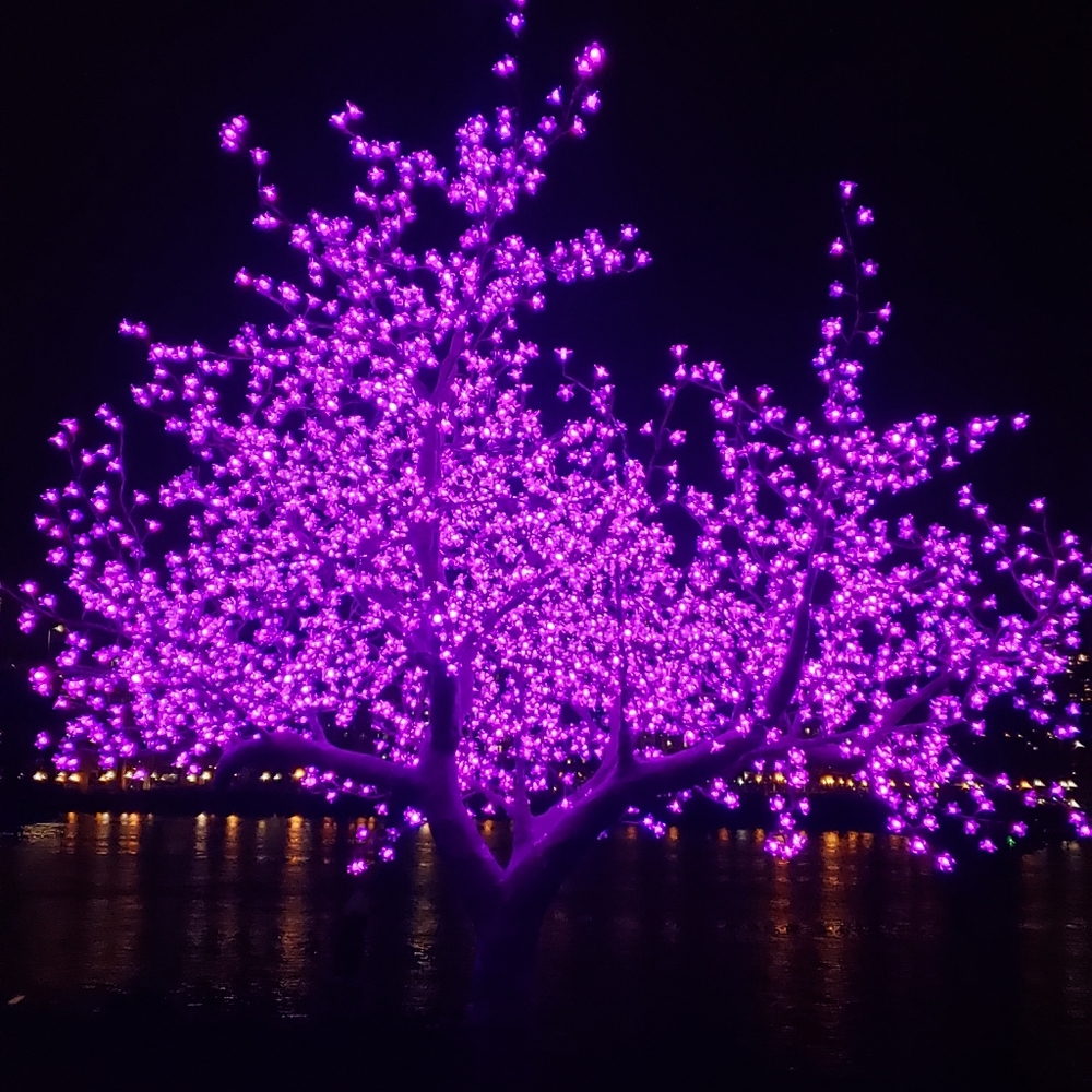 Meet your Posher, Paulette